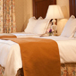 Double Guest Room at The Churchill Washington DC