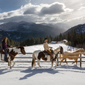 Winter Activity at Triple Creek Ranch, Derby, MT