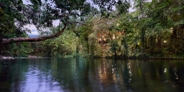 Silky Oaks Lodge