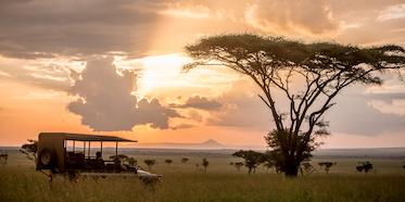 Singita Grumeti Sabora Tented Camp